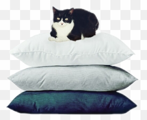 The Newest Pillow Pet Stickers - Furniture Style Emoji,Panda Emoji Pillow