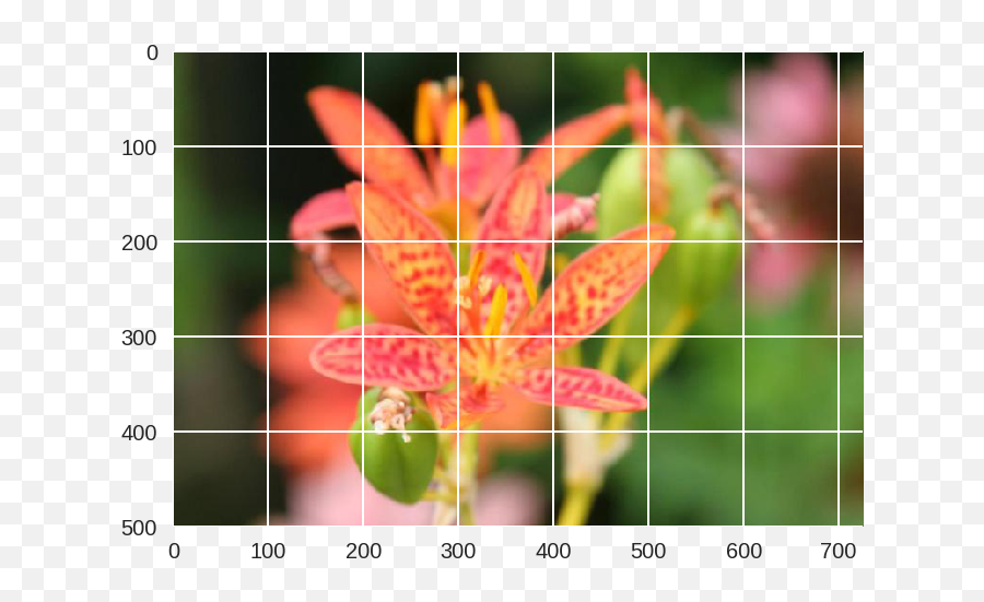 How To Build An Image Classifier With - Classifier Emoji,Generate Random Flower Emojis Javascript