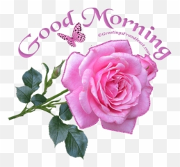 Animated Gif Good Morning Greetings - Piclevel Emoji,Good Morning Emoticon Animated Gif