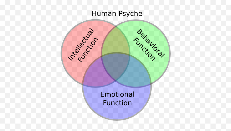 Believing In Mathematics - Vertical Emoji,Example Of Persistence Motivation And Emotion