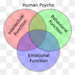 Believing In Mathematics - Vertical Emoji,Example Of Persistence Motivation And Emotion