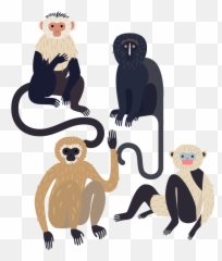 Funny Monkey Expressions Animals Giff 8341 Giffs Funny - Laura Edelbacher Monkeys Emoji,Ape Emojis