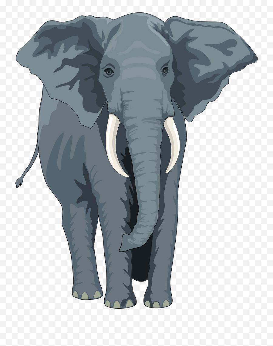 Elephant Animal Trunk Tusks Wild - Elephant Clipart Emoji,Elephant Touching Dead Elephant Emotion