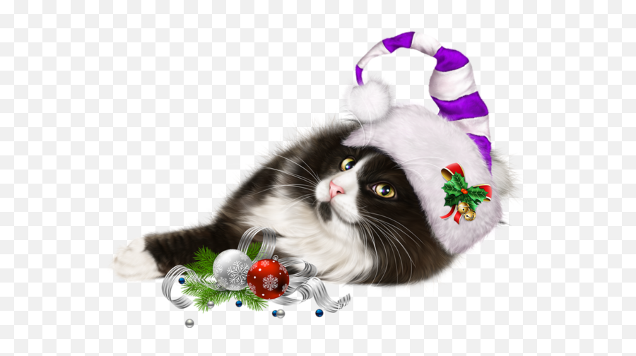 Kittens Cats Cat Gato Katze Katter - Noël Dessin De Chat Emoji,Christmas Emoticon Cat