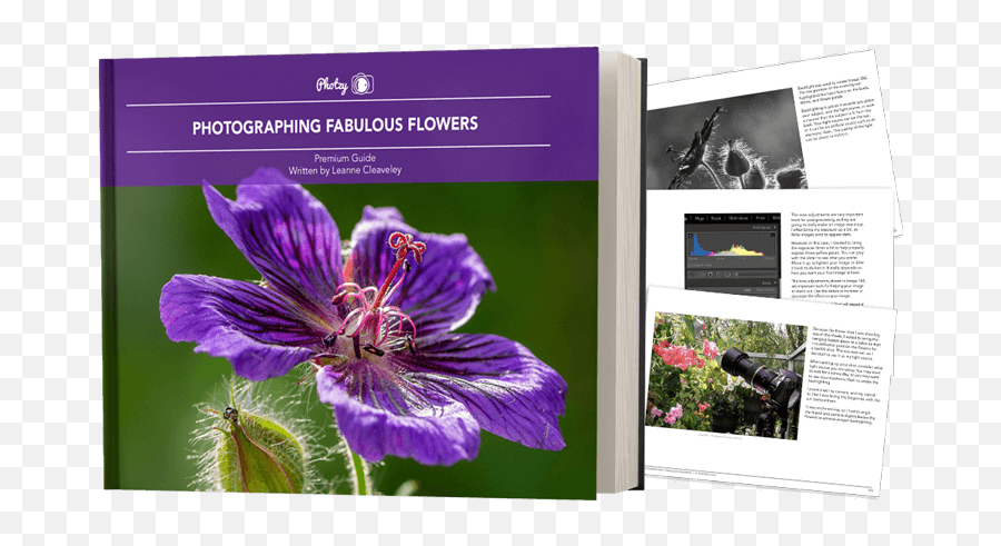 Marketplace Photzy - Photography Of Fabulous Flowers Emoji,Project Of Photographing Emotion