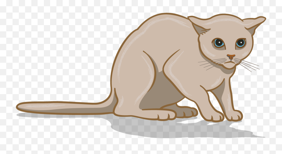 Understanding Cat Body Language - Marsupial Emoji,Sad Cat Emotion
