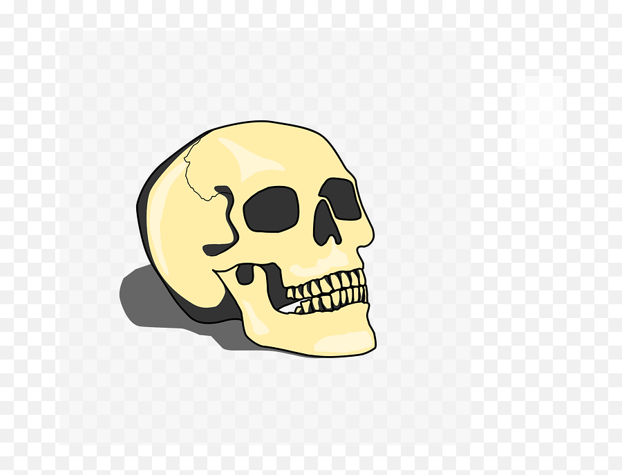 Skull Cranium Human - Scary Emoji,Emotions Of A Skull