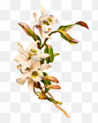 Tis Weerasinghe - Bags Mockup Emoji,Human Emotion Tree Art