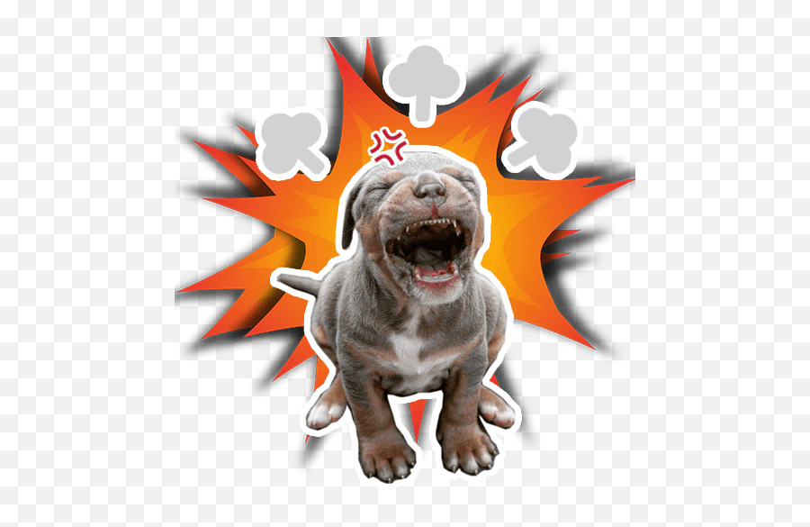 Pack Of Stickers For Whatsapp Depitbulls - Explosion Animated Png Emoji,Emojis De Whatsapp De Animales