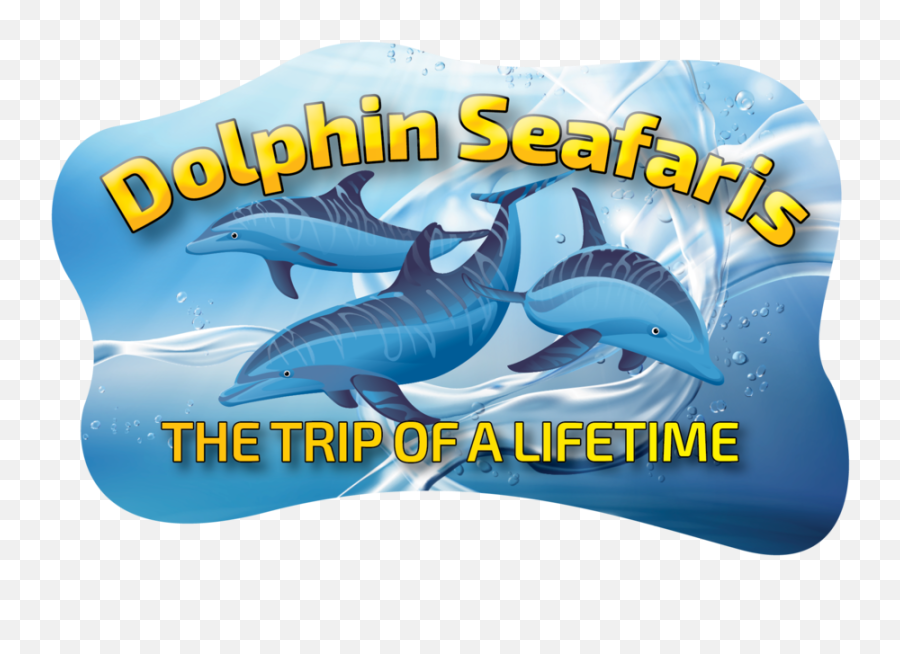 Dolphin Encounters Dolphin Seafaris Emoji,Rare Dolphin Emoticon