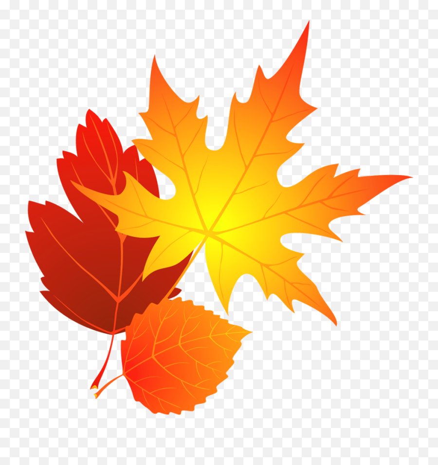 Transparent Fall Leaves Clipart Png - Clip Art Fall Leaves Emoji,Fall Leaf Emoji