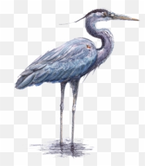 Birds Kids In Parks Emoji,Heron Emoji