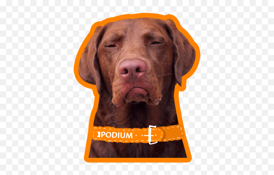 Podium Vol 1 - Collar Emoji,Dog Breed Emojis