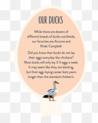 About Spotted Duck Creamery Emoji,Week 3: Think Like A Duck Deals With Team Work, *** And Then Looking At The Emotions.
