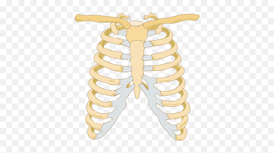 Skeletal Assessments An Alternate Approach Emoji,Peope With Spinal Cord Injury ___ On The Spine Report ____ Intense Experiences Of Emotion