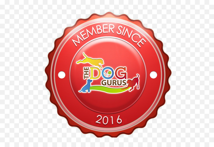 Huckleberryu0027s Pet Parlor U2013 Grooming U2013 Dog Training U2013 Pet Emoji,Small Squeaky Smily Face Emoticon Dog Toys
