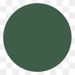 Duluth Screen Printing Co 3413 Emoji,Green Circle With Hole Emoji