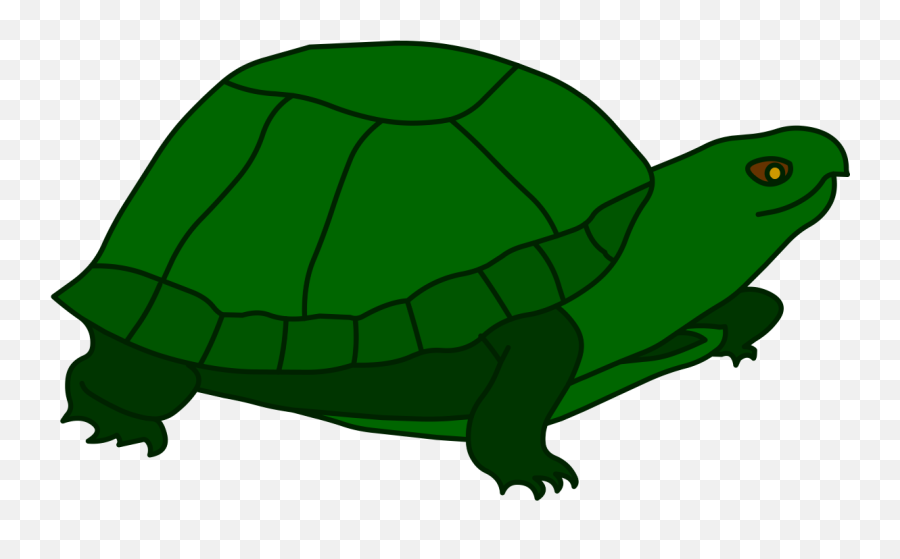 Turtle New Hands - Tortoise Clipart Full Size Clipart Clip Art Tortoise Emoji,Turtle Shell Emoji
