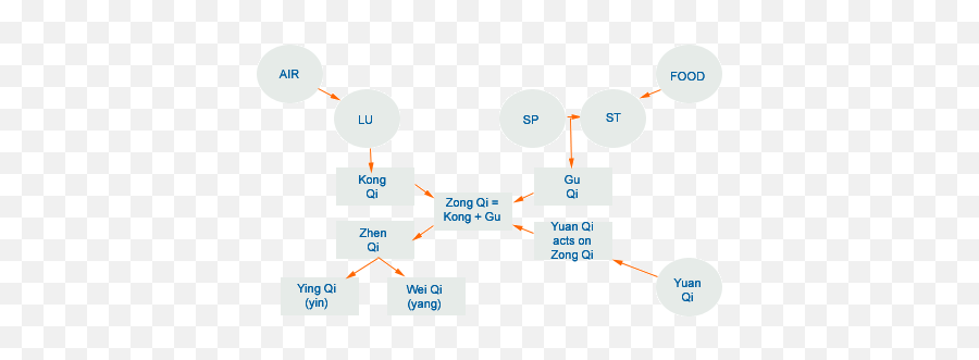 Qi In Tcm Acupuncture Theory - Types Of Qi Emoji,Chinese Medicine Organs And Emotions