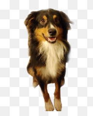 The Most Edited - Northern Breed Group Emoji,Australian Shepherd Emoji