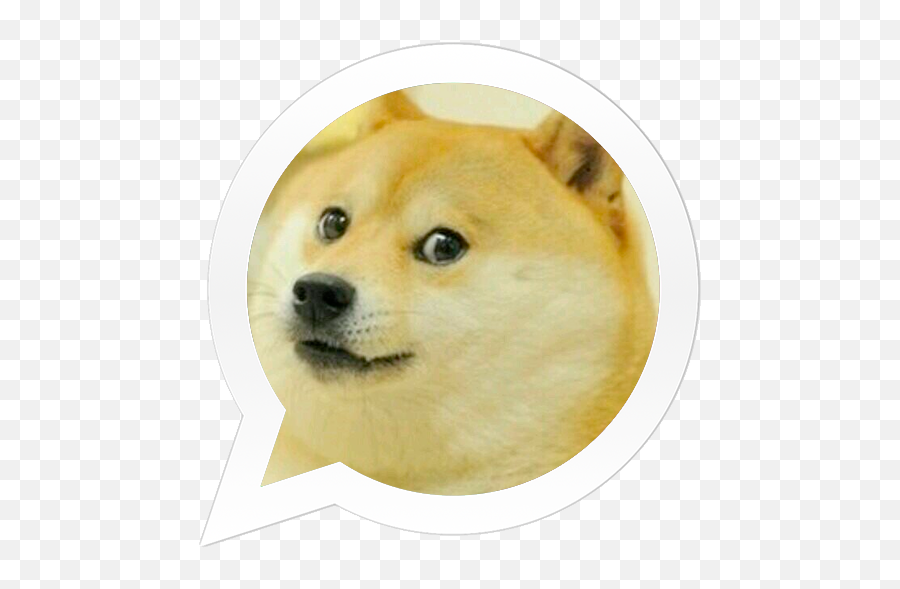 Whatsapp - Busca Baixaki Roblox Doge Face Emoji,Brincadeiras Whatsapp Emoticons