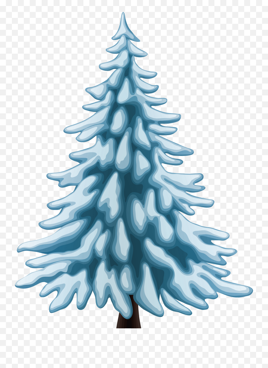 Library Of Winter Tree Jpg Royalty Free Stock Free Png Files - Pine Winter Tree Png Emoji,Pine Branch Emoji