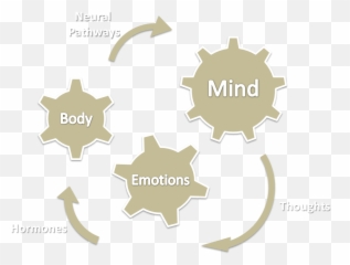 Mind Body Emotions - Nitric Oxide Role In Plant Emoji,Emotions And The Brain