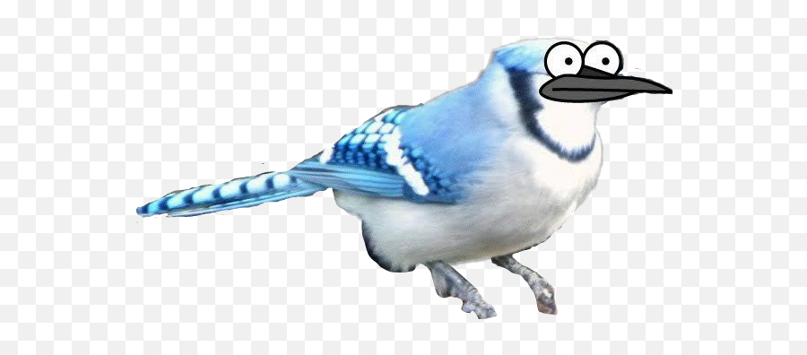 The Most Edited - Mordecai Funny Emoji,Bird Jay Emoticon