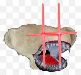 Bear Wiki Contest 2 Discord Emoji Making Contest Fandom - Fictional Character,Transparent Oof Discord Emojis