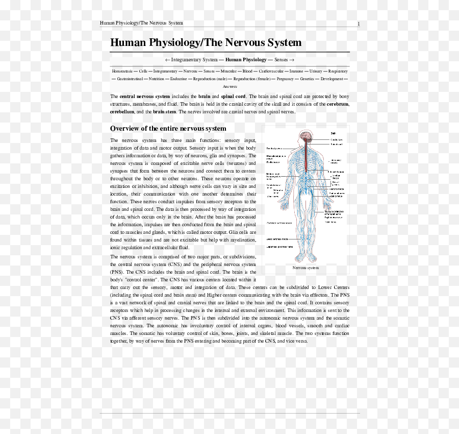 Nervous System Overview - Document Emoji,Emotions And The Neurological System