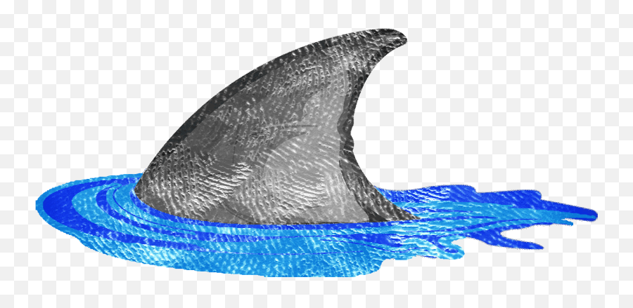 Shark Week Swimming Sticker By Trent - Animated Shark Fin Gif Emoji,Find The Emoji Maneater