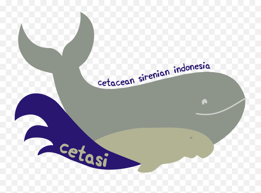 The Cetacean Sirenian Indonesia - Cetaceans Emoji,Different Whale Emojis