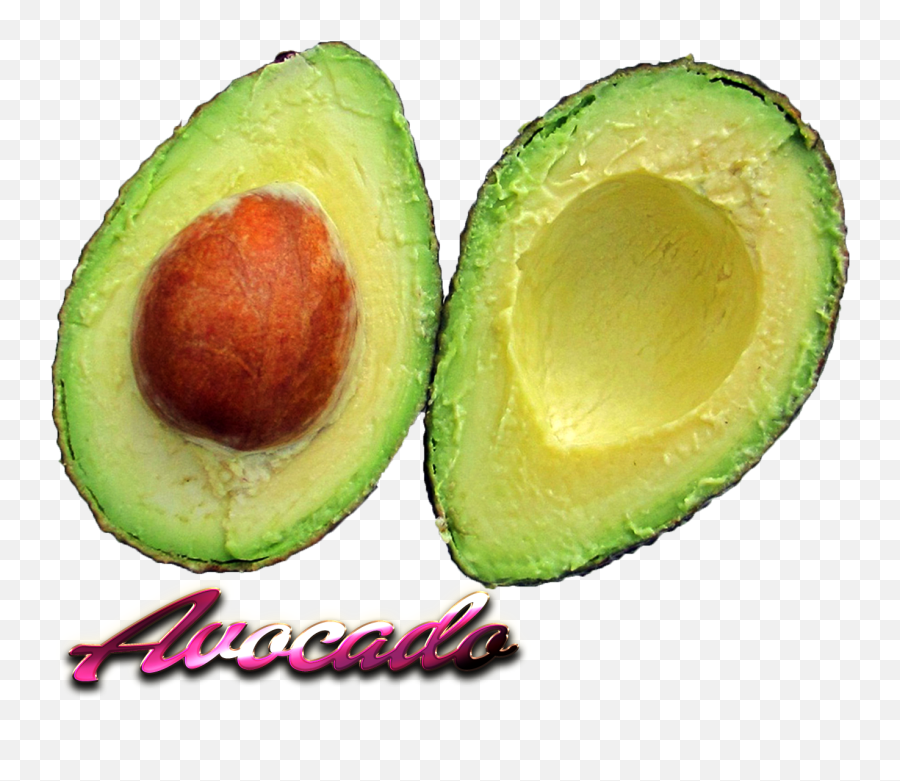 Avocado - Avocado Png Download 19201200 Free Avocado Emoji,Avocado Toast Emoji Png