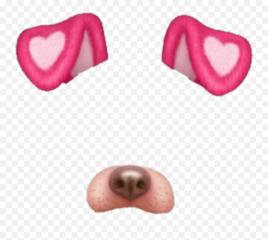 How To Use The Dog Filter On Snapchat Gallery - Heart Filter Snapchat Transparent Emoji,Blac Chyna Emoji App Kylie