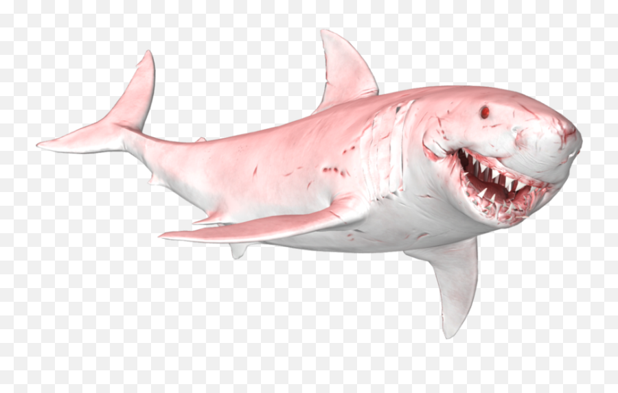 Face Megalodon Shark Png Free Download Png Mart Emoji,(^^^) Shark Emoji