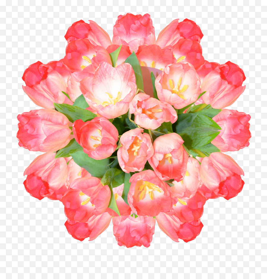 What Are The Best Flowers For Springtime Celebrations Emoji,Flower Emoji All Systems
