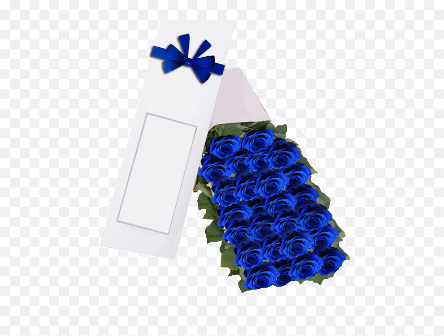 Flores Azules Png - Caja De 24 Rosas Azul Blue Rose Blue Rose Emoji,Blue Rose Emoji