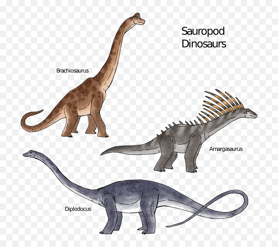 Free Photo Dinosaurs Sauropods Reptiles - Saurópodos Brachiosaurus Emoji,Reptiles Have Emotions