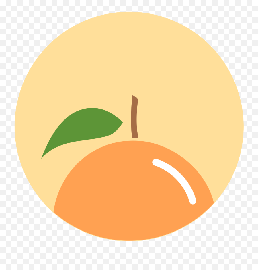 Orange Icon Minimal Fruit Iconset Alex T - Parque Natural Do Sudoeste Alentejano E Costa Vicentina Emoji,The Emoji Movie Alex