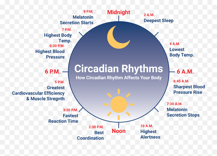 Why We Sleep - Integrated Health Solution Circadian Rhythm Emoji,Late Night Emotions
