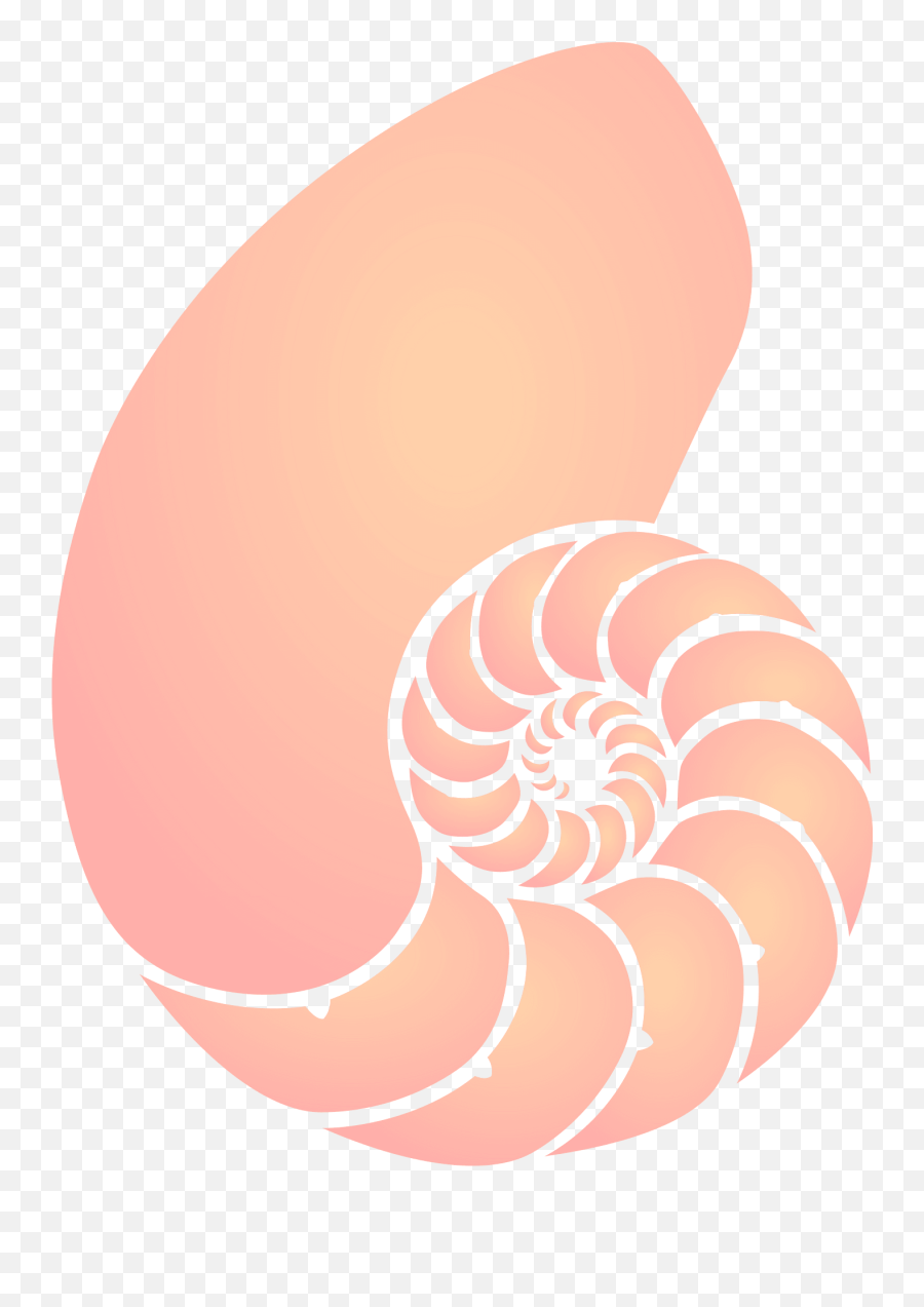 Shell Clipart Free Download Transparent Png Creazilla - Coral Seashell Clipart Emoji,Clowfish Emoji