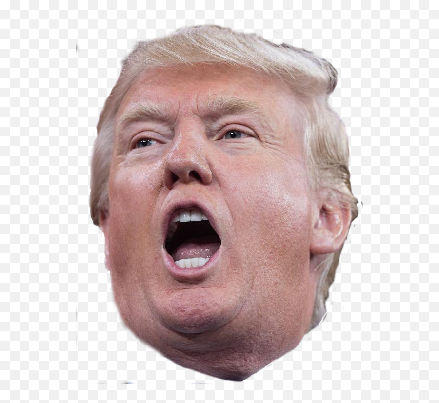 Donald Trump Face Png Photo Png Arts - Trump Icon Transparent Emoji,Donald Trump Emoticon For Html