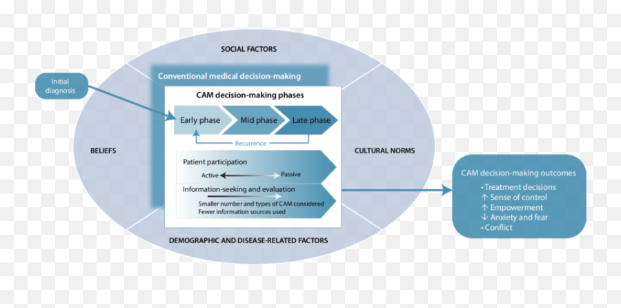 Conceptual Framework Of The Decision - Language Emoji,Decision Making Uses Emotions Vfc