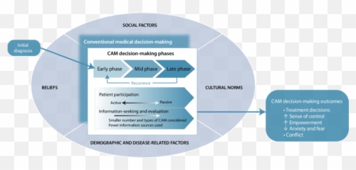 Conceptual Framework Of The Decision - Language Emoji,Decision Making Uses Emotions Vfc