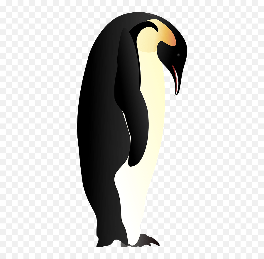 Penguin Looking Down Clipart - Cartoon Png Download Full Emoji,Bow Down Emoticon Facebook