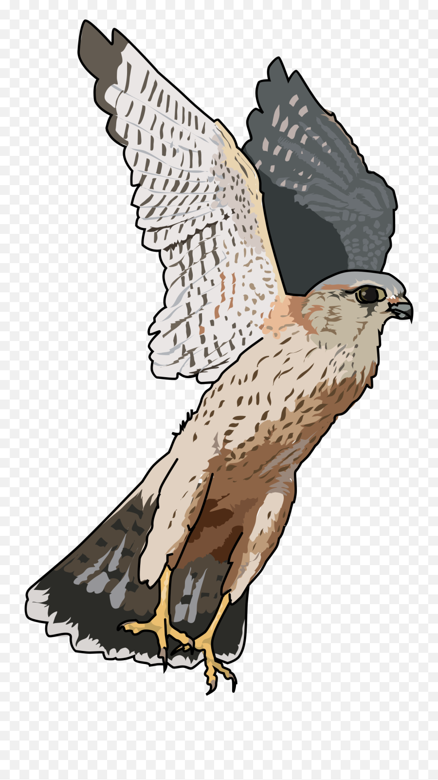 Falcon Clip Art Image - Clipartix Falcon Clipart Transparent Background Emoji,Atlanta Falcons Emoji