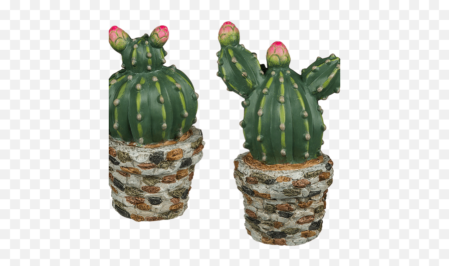 Produke Per Zyra Archives - Page 4 Of 6 Lefutur San Pedro Cactus Emoji,Prickly Pear Emoticon Meaning
