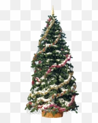 Christmas Tree With Decoration Christmas Tree Decorations Emoji,Christmas Tree Emoji