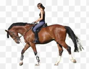 Horse Horses Riding Sticker By Territales - Riding A Horse Png Emoji,Riding Crop Emoji