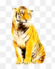 Tiger Animation Photoscape - Tiger Png Download 539860 Emoji,Bengal Tiger Emoji